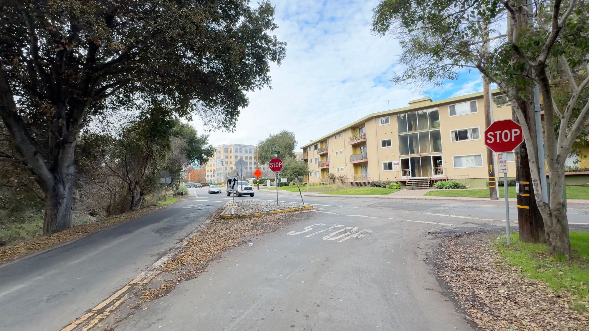 We Need Safer Walkways in Woodland Park to the New University Avenue Pedestrian Overcrossing