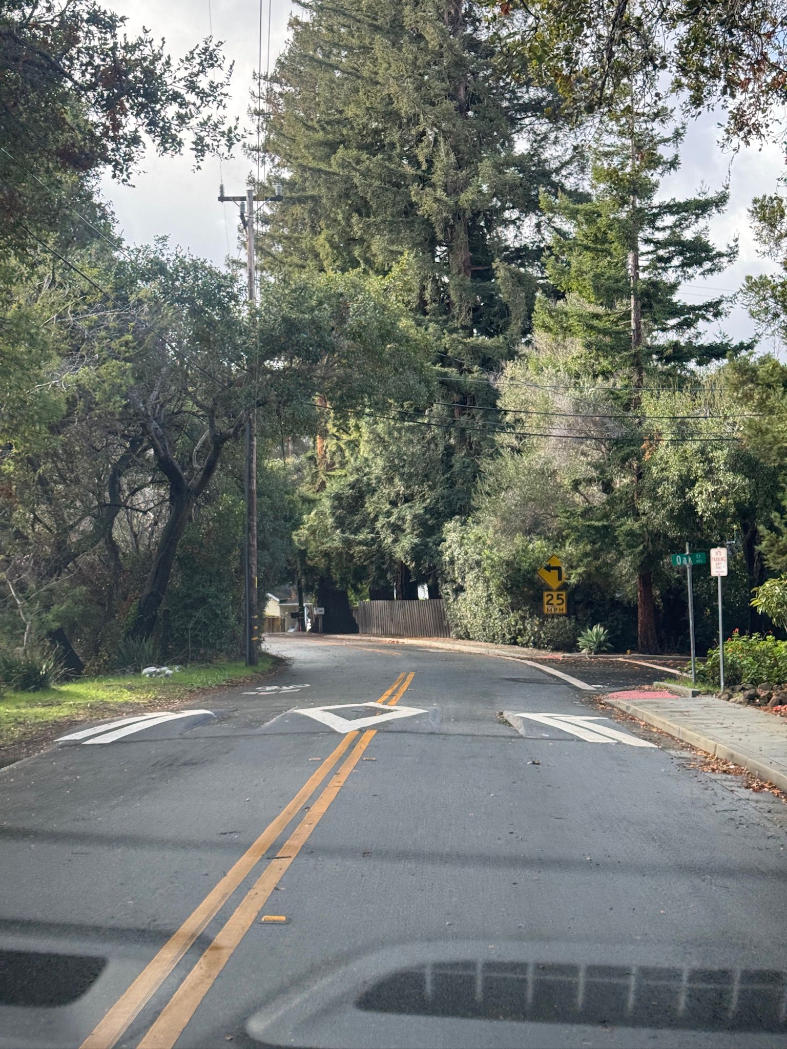 Our Speed Hump Request Was Denied and It Would Have Qualified in Menlo Park