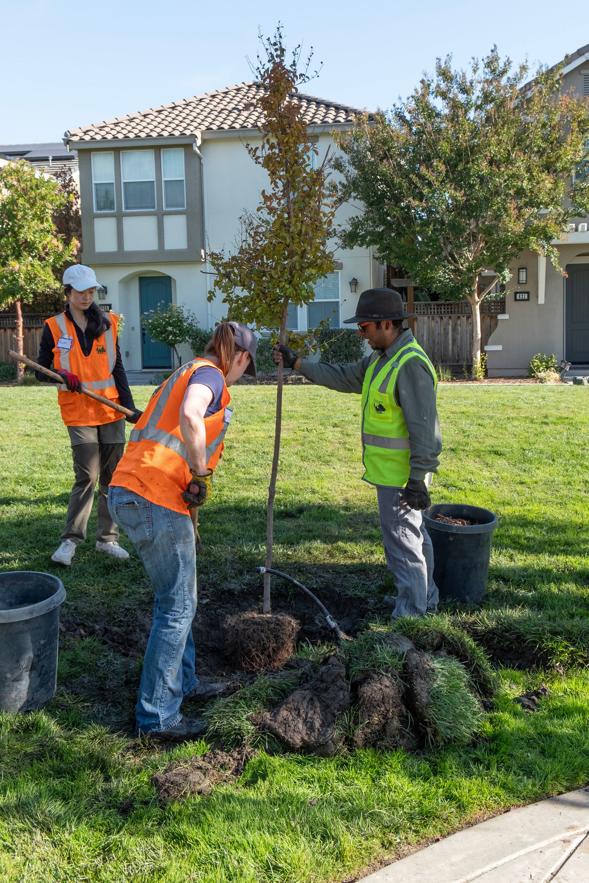 Canopy Planted 20 Trees for Free in Our East Palo Alto HOA