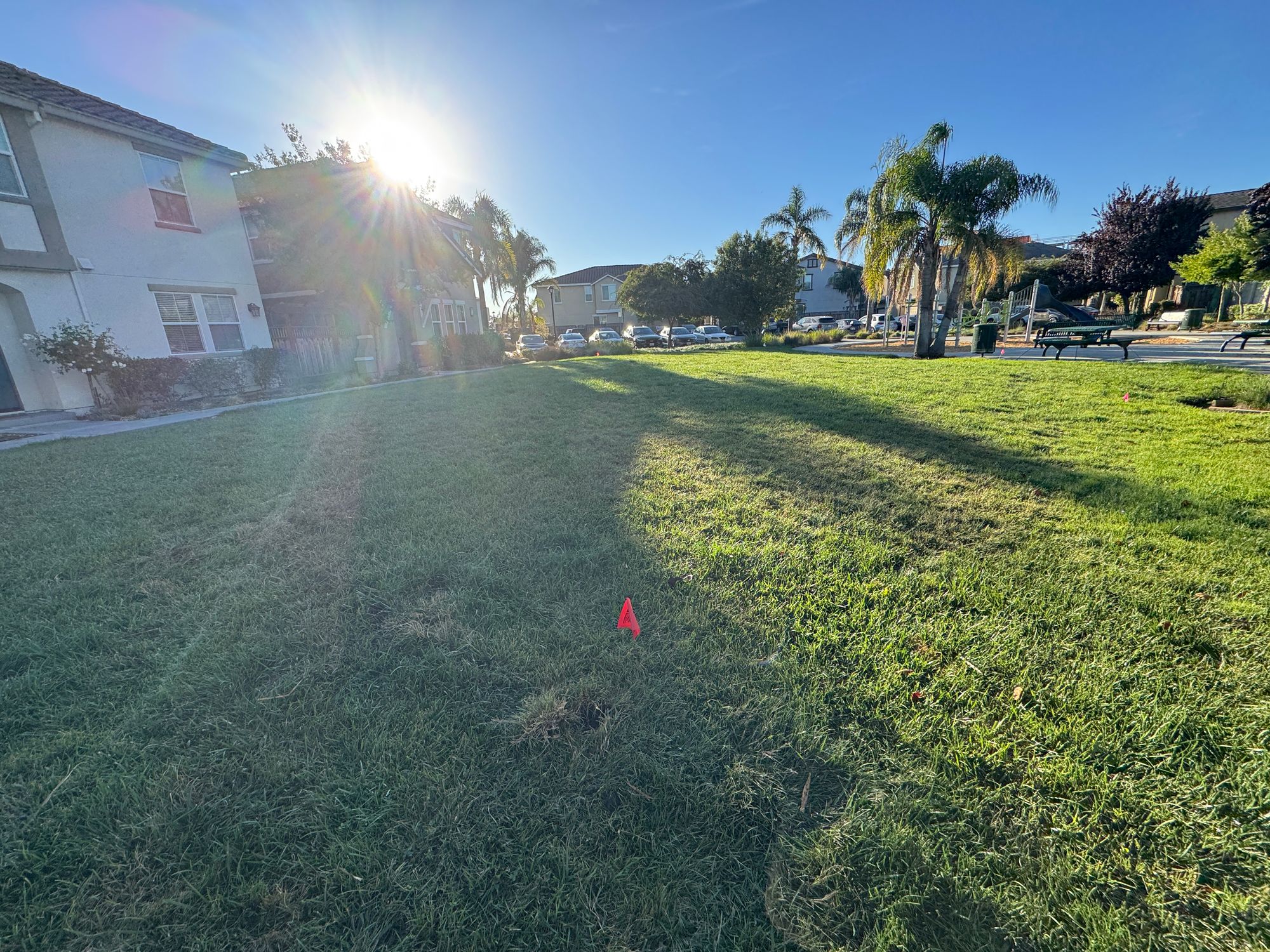 Canopy Planted 20 Trees for Free in Our East Palo Alto HOA