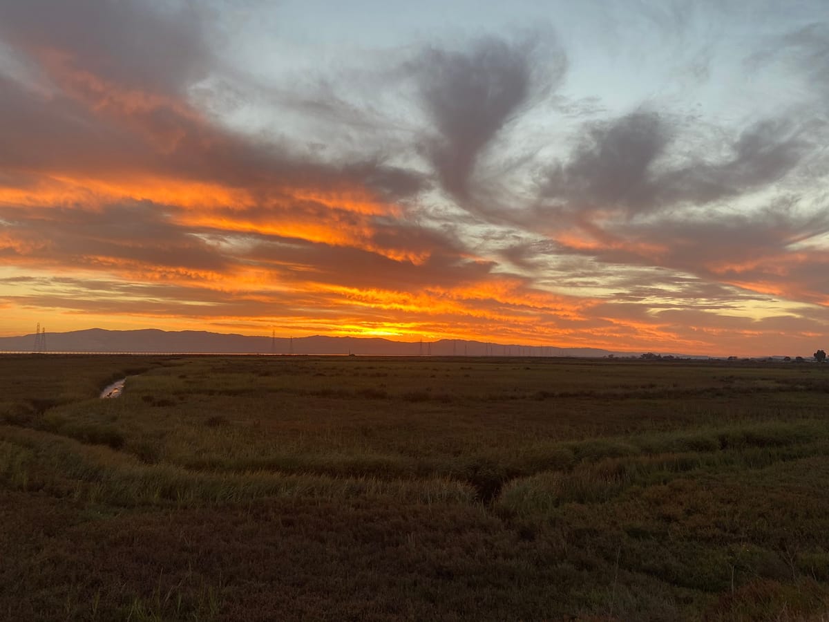 Is East Palo Alto the Best Place in the Bay Area to Walk a Dog? Go Jogging? Go Biking?