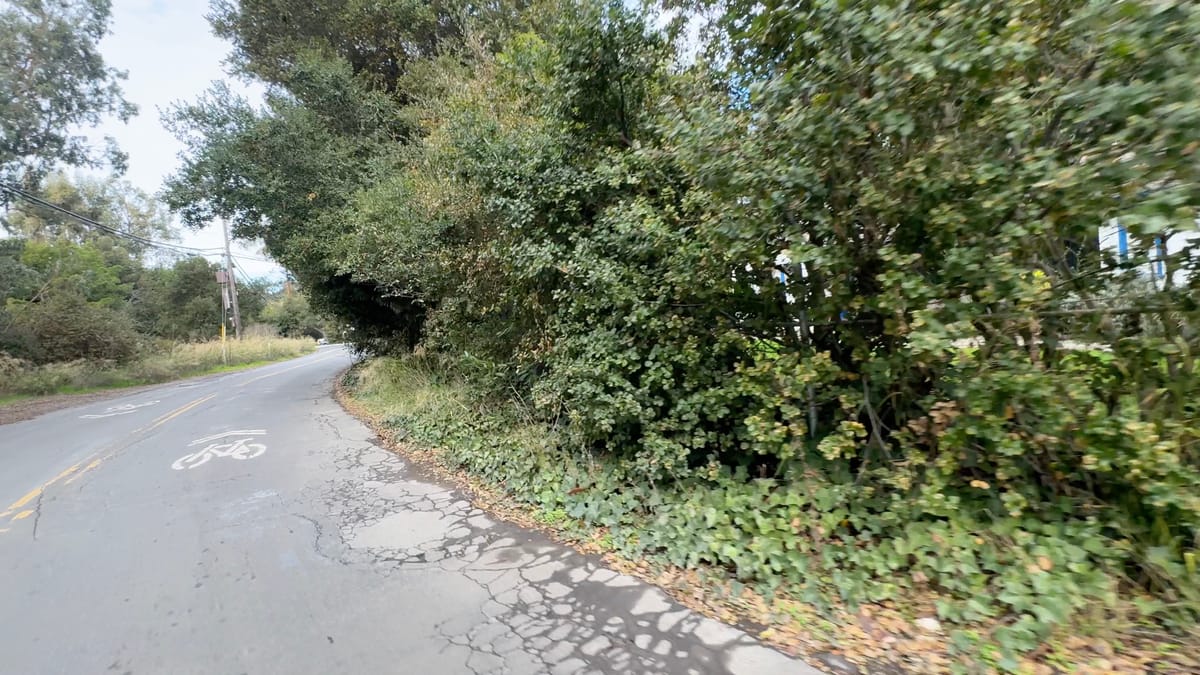 We Need Safer Walkways in Woodland Park to the New University Avenue Pedestrian Overcrossing