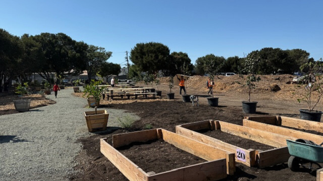 A New Community Garden Takes Root in East Palo Alto