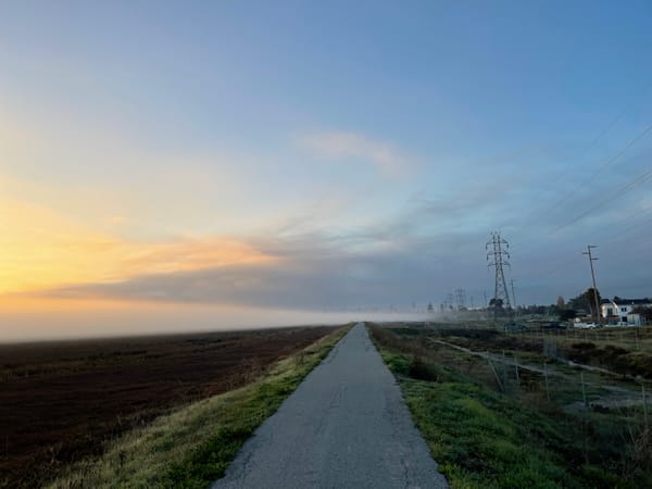 San Francisquito Creek Joint Powers Authority 7:1 Sloped Levee May Reduce 6 Acres of Parkland in East Palo Alto