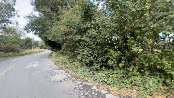 We Need Safer Walkways in Woodland Park to the New University Avenue Pedestrian Overcrossing