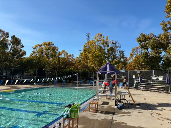 Free Weekends at the East Palo Alto YMCA: A Resident’s Guide and First-Look Review